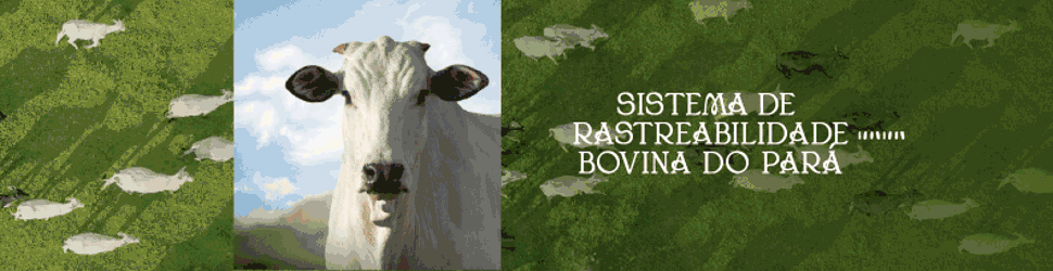 GOVERNO DO ESTADO Rastreabilidade Bovina