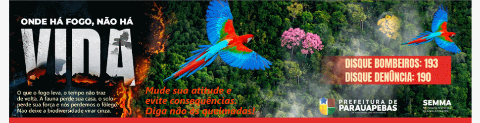 Queimadas Parauapebas