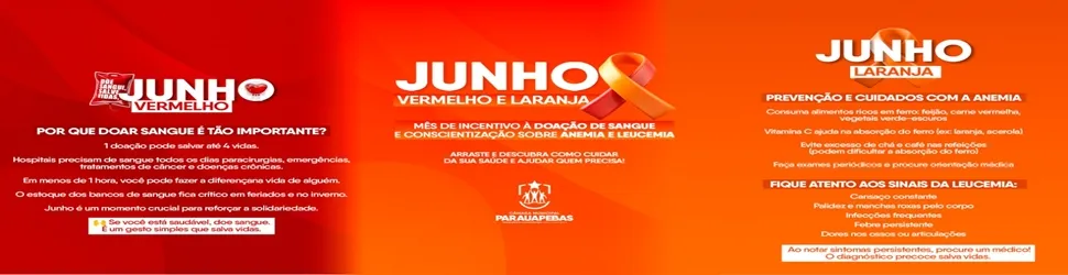CAMARA MUNICIPAL DE PARAUAPEBAS
