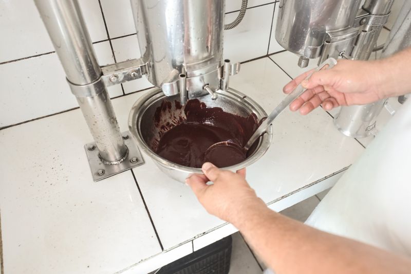 Foto: Marcelo Seabra/Ag. Pará