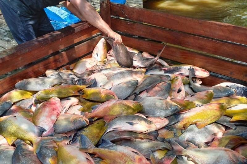 Foto: Reprodução/Secom Pará