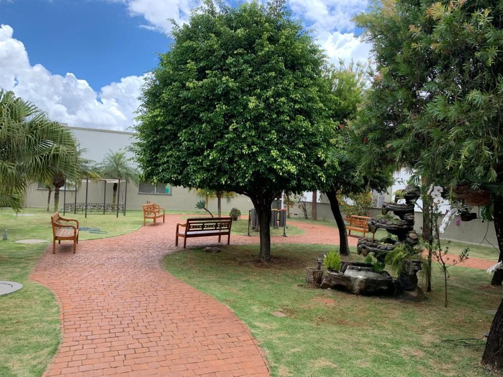 Jardim do Hospital Madrecor | Reprodução