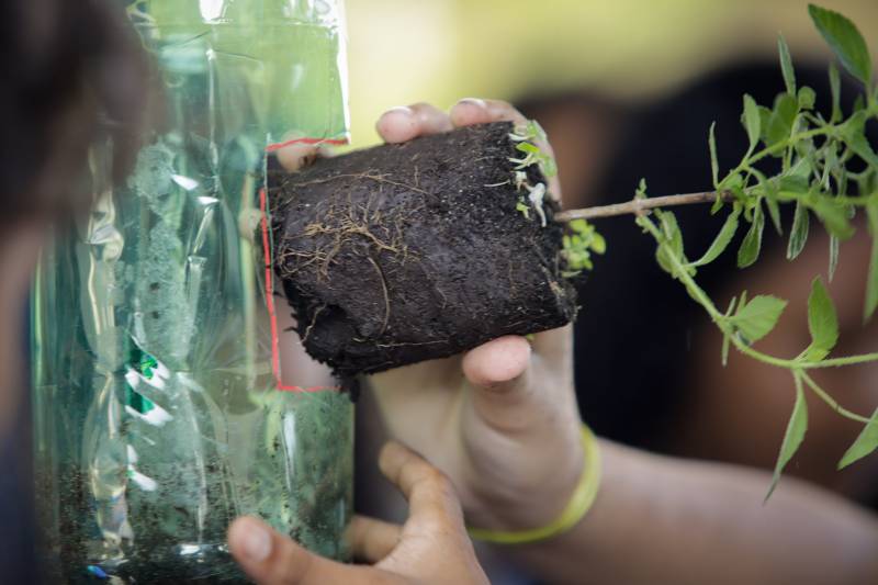 Foto: Daniel Guimarães