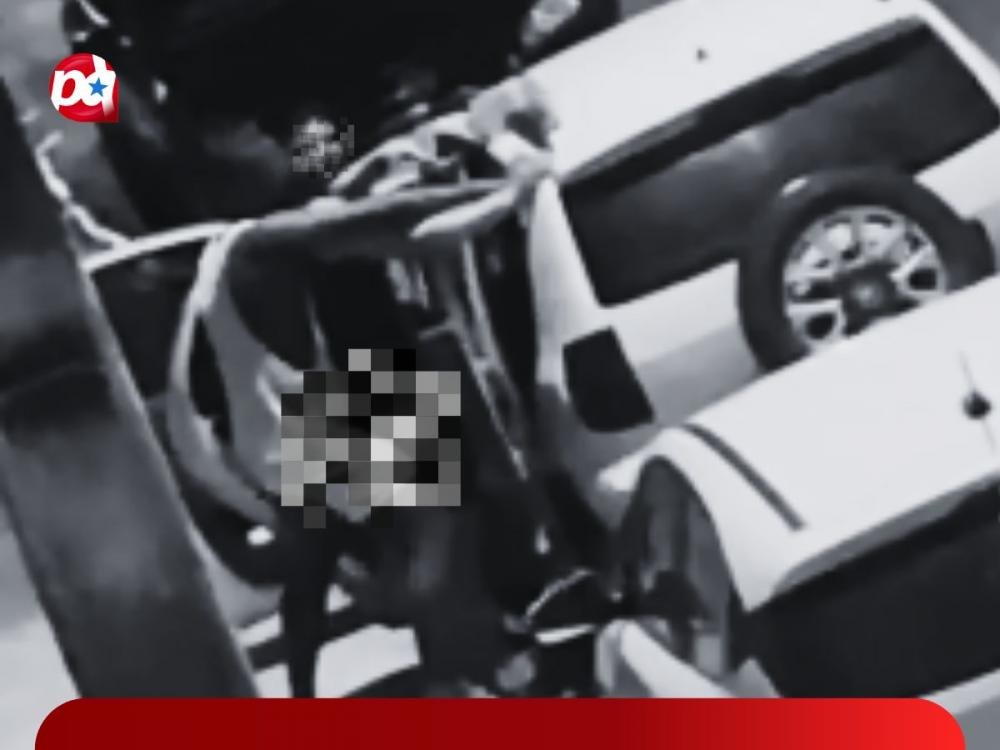 Reprodução internet