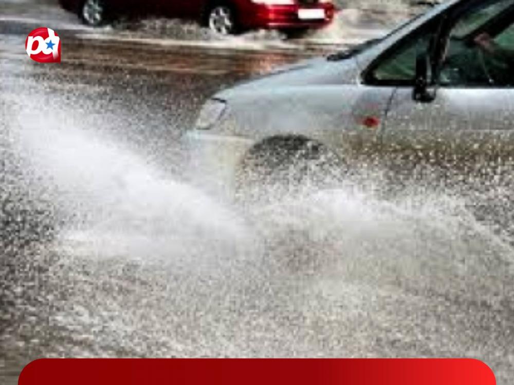 Reprodução internet