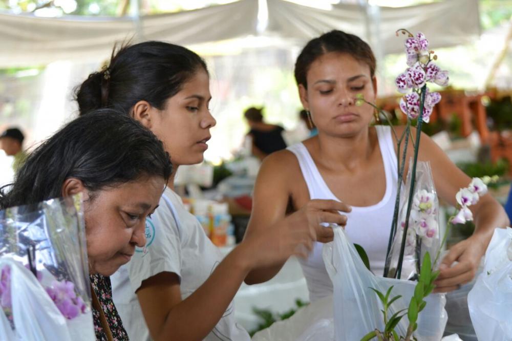 12ª edição do Verdadeiro Festival das Flores acontece de 8 a 23 de março na Praça dos Esportes Radicais