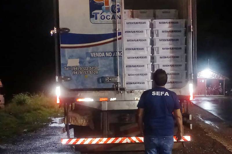Seis toneladas de pescado procedente de Parauapebas é apreendida em fiscalização 