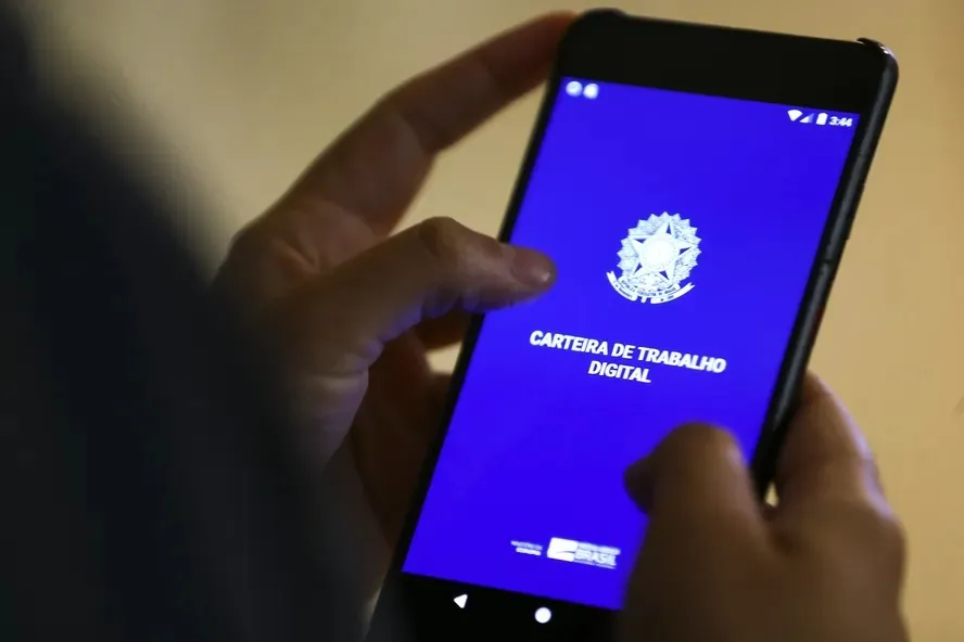 PRF. Carvão apreendido em Marabá.