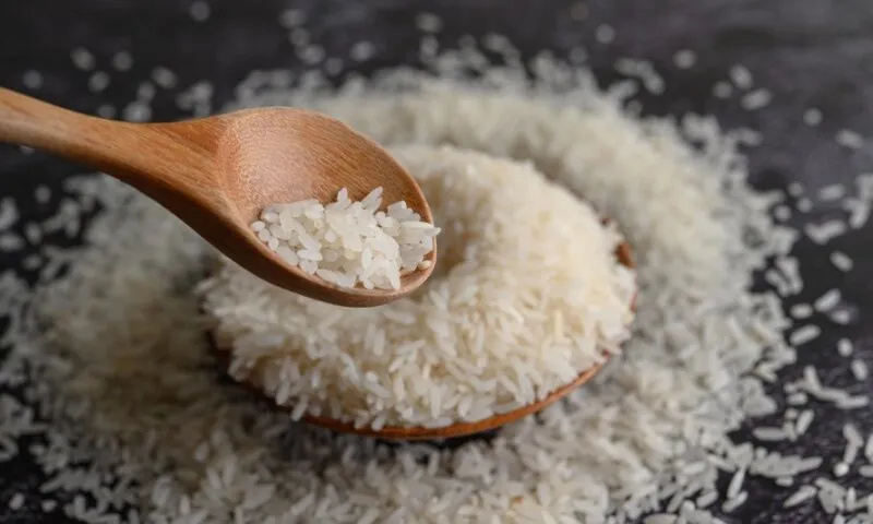 Pará será um dos primeiros estados a receber arroz importado; preço deve ser de no máximo R$ 4 o quilo
