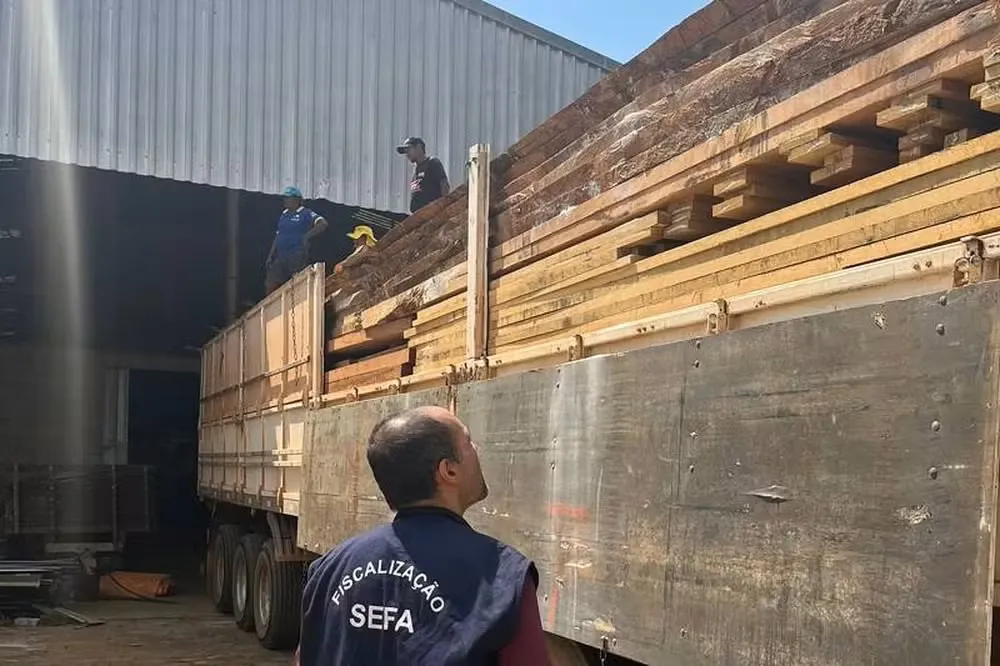 47 toneladas de madeira serrada são apreendidas no Pará