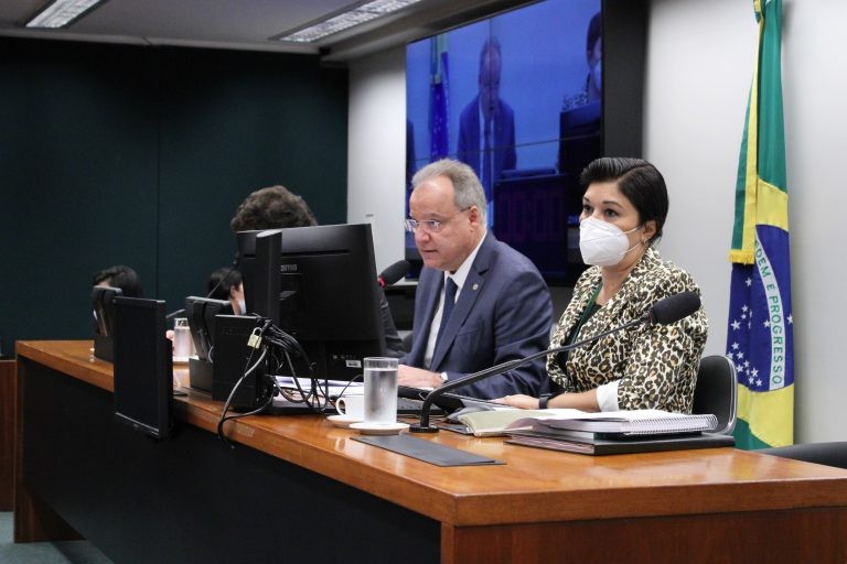Samuel Moreira (C), coordenador do grupo que debate o semipresidencialismo - (Foto: Elaine Menke/Câmara dos Deputados)