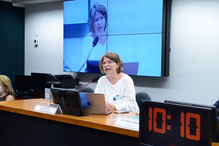 Lara Mesquita: debate deveria ser feito em um momento de maior estabilidade - (Foto: Wesley Amaral/Câmara dos Deputados)