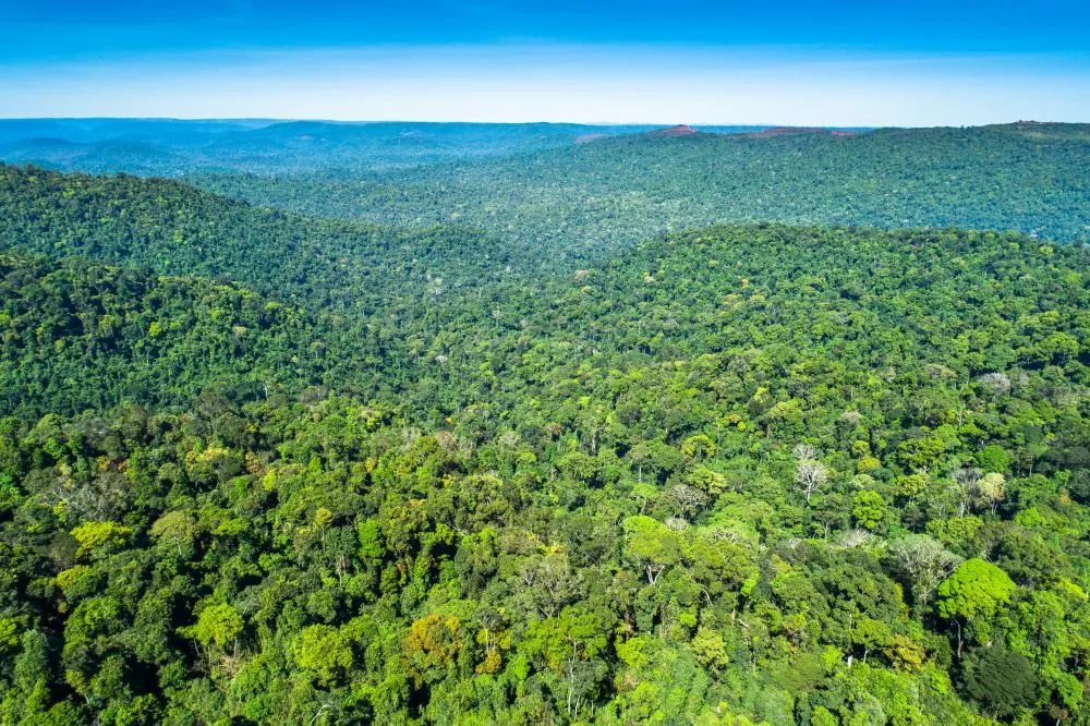 Vale está presente na COP30 para compartilhar soluções e discutir caminhos que levem a avanços na agenda climática 