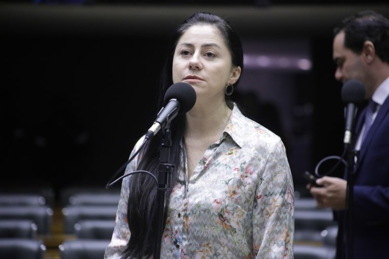 Liziane Bayer associou a destinação dos bens a projetos de inclusão digital - (Foto: Paulo Sérgio/Câmara dos Deputados)
