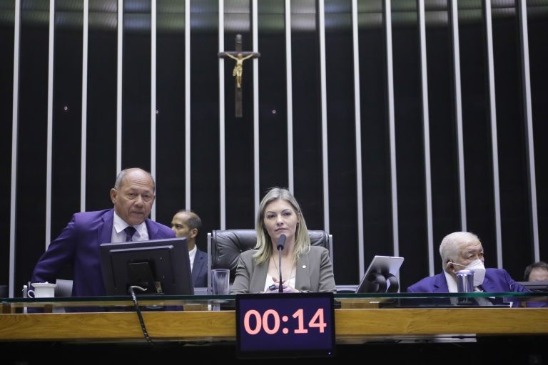 Sessão do Plenário da Câmara dos Deputados - (Foto: Paulo Sérgio/Câmara dos Deputados)