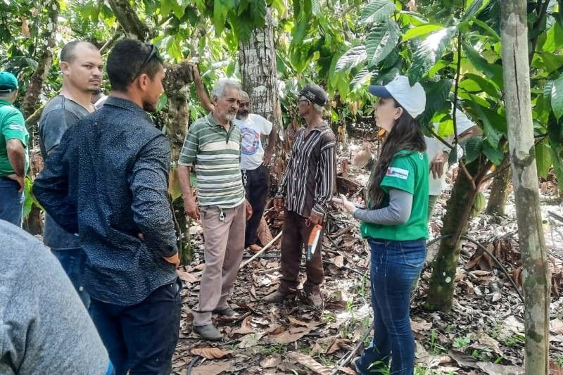 Foto: Reprodução/Secom Pará