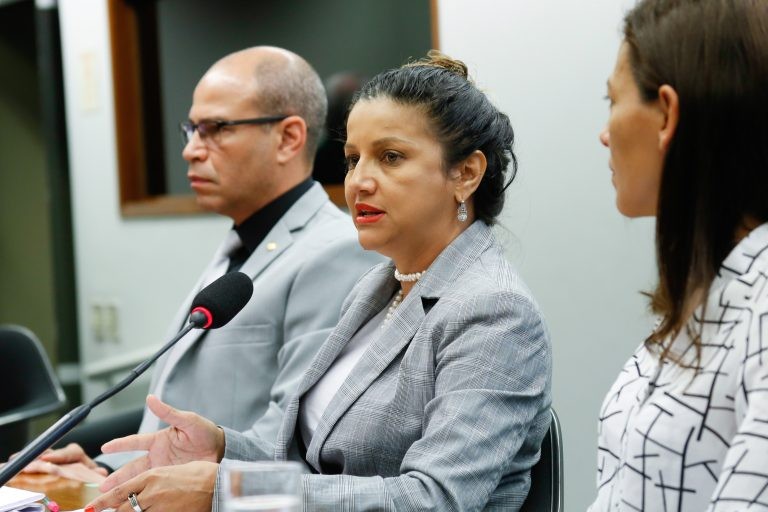 Thaize Antunes: desde 2015, 50% dos funcionários saíram do órgão - (Foto: Elaine Menke/Câmara dos Deputados)