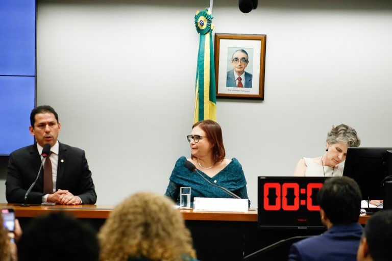 Marcelo Ramos e Rosa Neide pediram a realização da conferência no ano que vem - (Foto: Elaine Menke/Câmara dos Deputados)