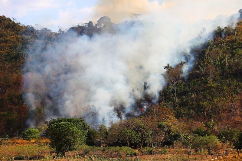 Foto: Reprodução/Secom Pará