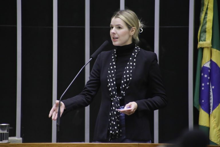 Luisa Canziani disse que essa modalidade é mais uma opção para as famílias - (Foto: Paulo Sérgio/Câmara dos Deputados)