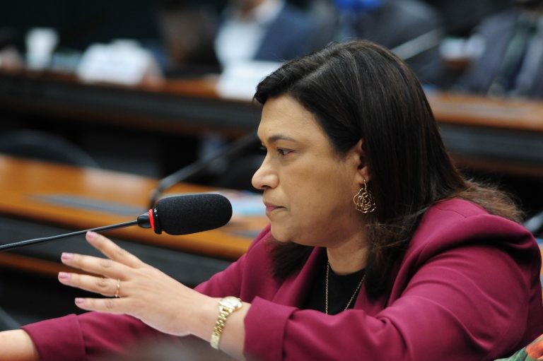 Maria Rosas acredita que a lei cria embaraço ao cumprimento da norma constitucional - (Foto: Billy Boss/Câmara dos Deputados)