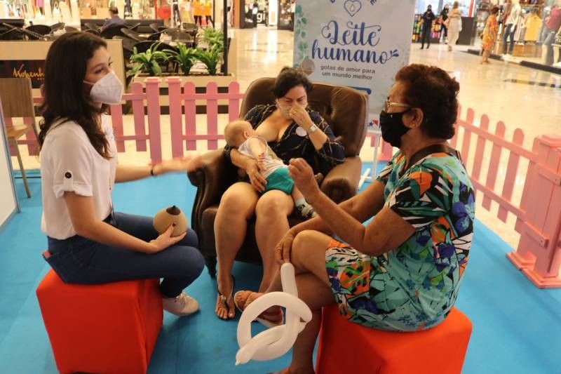 Foto: Reprodução/Secom Pará