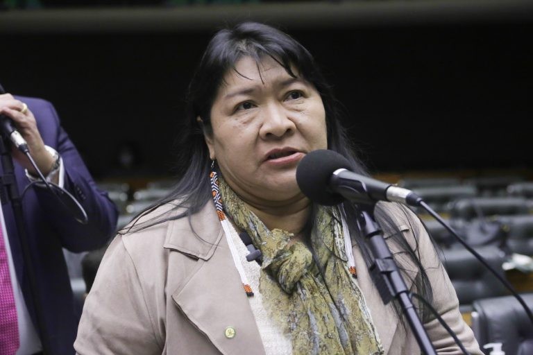Joênia Wapichana sugeriu mudanças no texto - (Foto: Paulo Sérgio/Câmara dos Deputados)