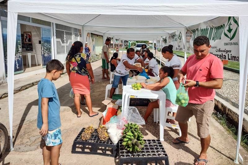 Foto: Reprodução/Secom Pará
