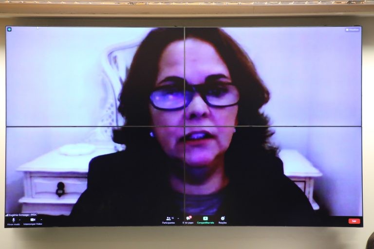 Eugênia Gonzaga defendeu tipificar o desaparecimento forçado de pessoas - (Foto: Elaine Menke/Câmara do Deputados)
