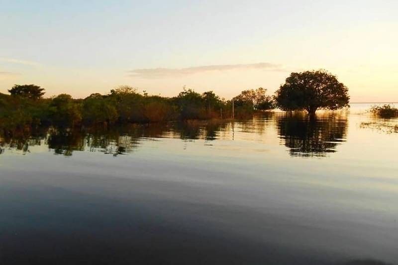 Foto: Reprodução/Secom Pará