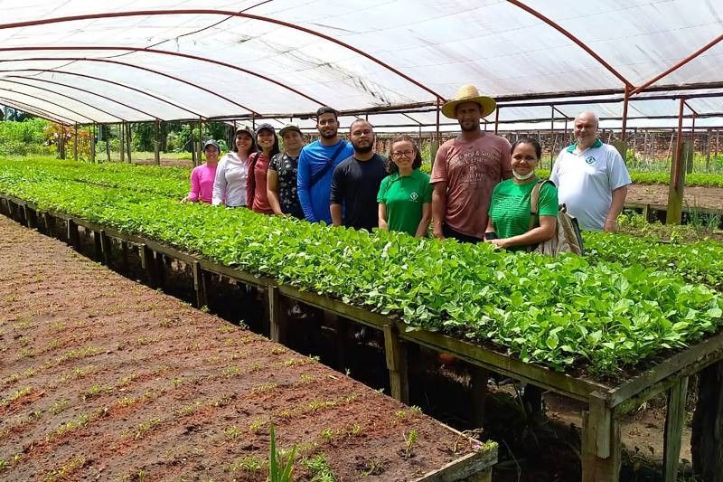 Foto: Reprodução/Secom Pará