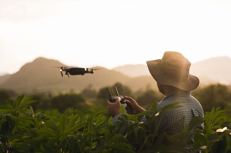Agricultura de precisão utiliza a tecnologia para evitar desperdício de insumos e incrementar a produção sem necessidade de aumentar as áreas plantadas e o desmatamento - Getty Images/iStockphoto