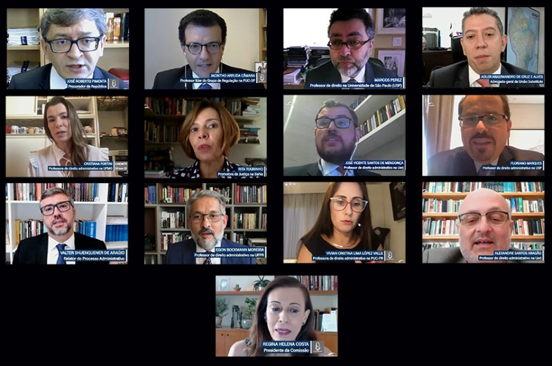 Em reunião remota, em março, integrantes da comissão debateram propostas com professores universitários - Agência Senado