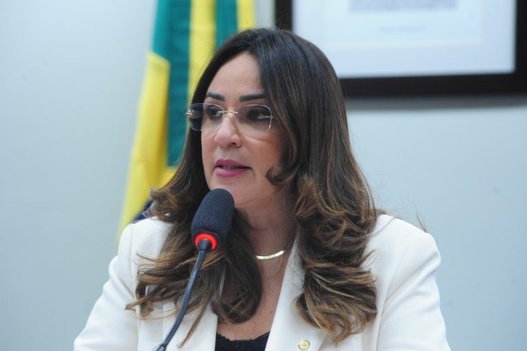 Deputada Rejane Dias, relatora do projeto de lei - (Foto: Billy Boss/Câmara dos Deputados)