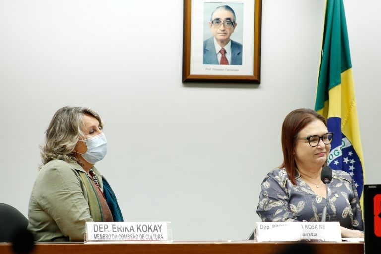 Deputadas Erika Kokay (E) e Professora Rosa Neide - (Foto: Elaine Menke/Câmara dos Deputados)