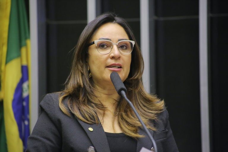 Rejane Dias destacou a importância da proximidade das vagas - (Foto: Paulo Sérgio/Câmara dos Deputados)