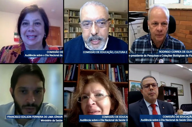 Audiência da CE foi realizada por meio de videoconferência: conceito de "saúde única" ganha mais atenção - Reprodução/TV Senado