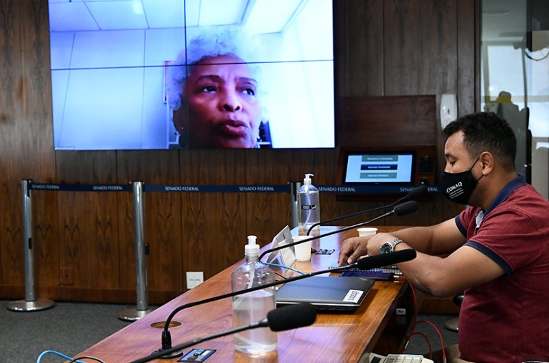 Audiência pública conjunta da CMA e da CDH foi realizada por meio de videoconferência - Geraldo Magela/Agência Senado