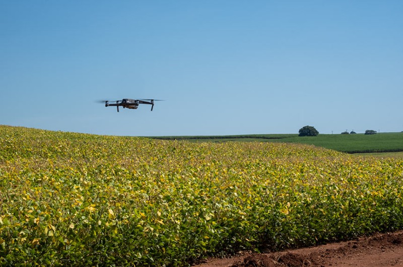 O bioinsumo é derivado de substâncias de origem vegetal, animal, microbiana e mineral - Getty Images