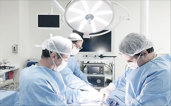 Dr. Alexandre Silva e Silva