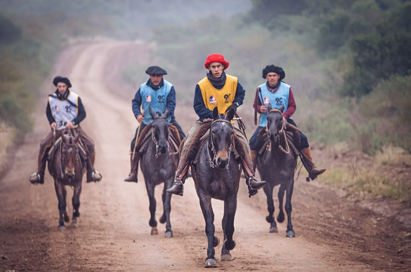 Marcha de Resistência é uma prova que seleciona rusticidade e capacidade de recuperação do cavalo crioulo - Fagner Almeida/ABCCC