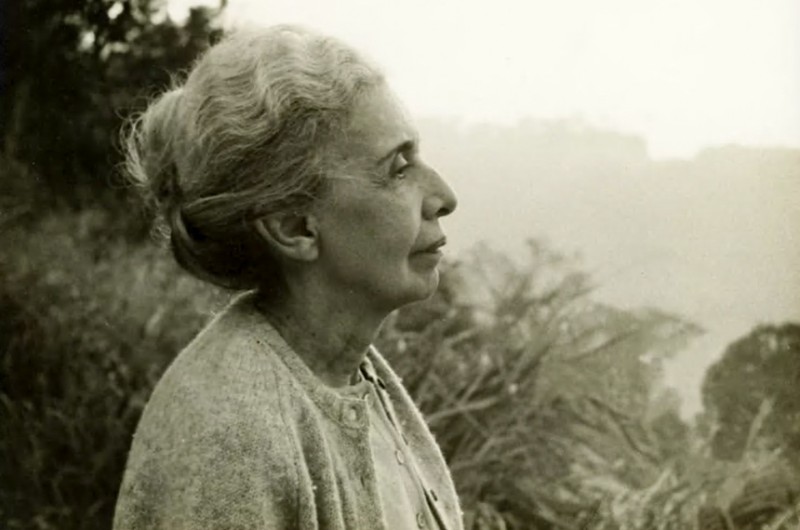 O veto foi derrubado em sessão do Congresso no dia 5 de julho - Arquivo Nise da Silveira