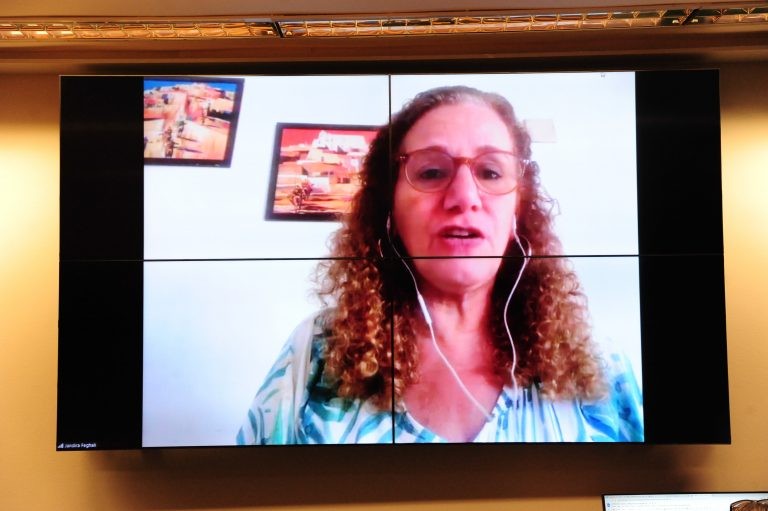 Mercedes Bustamante: a proposta foi aprovada na CMO sem debate com cientistas - (Foto: Billy Boss/Câmara dos Deputados)