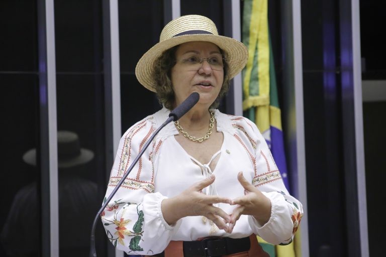 Tereza Nelma: sistema ajudará a enfrentar desde a desinformação até falhas na organização da rede - (Foto: Paulo Sérgio/Câmara dos Deputados)