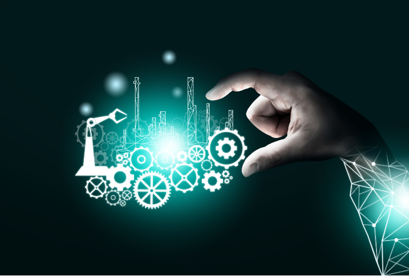 Banco de imagens orgânico 