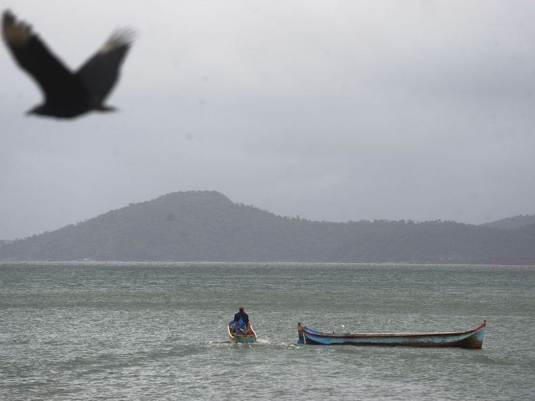 Vista da Praia da Pescaria Velha na Ilha da Marambaia, Baía de Sepetiba - (Foto: Tania Rego/Agência Brasil)