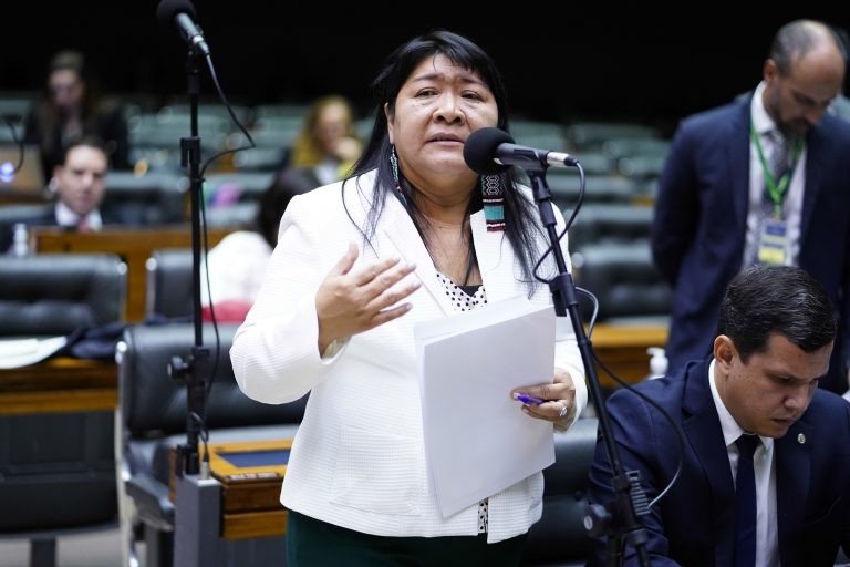 Joenia Wapichana: a regra atual restringe o direito de ir e vir do cidadão indígena - (Foto: Pablo Valadares/Câmara dos Deputados)