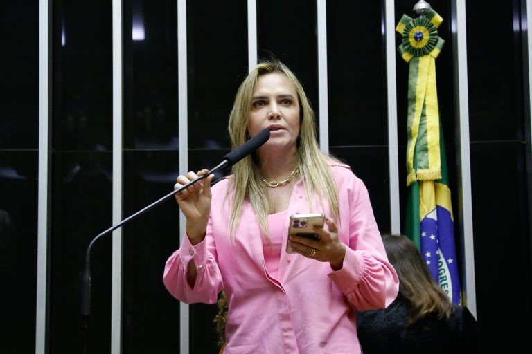 Celina Leão, relatora da medida provisória - (Foto: Elaine Menke/Câmara dos Deputados)