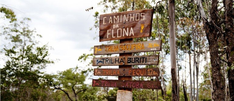 Floresta Nacional de Brasília - (Foto: Ministério do Meio Ambiente)