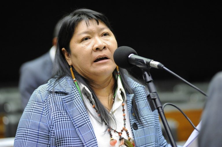 Joenia Wapichana espera que proposta iniba comércio ilegal - (Foto: Billy Boss/Câmara dos Deputados)